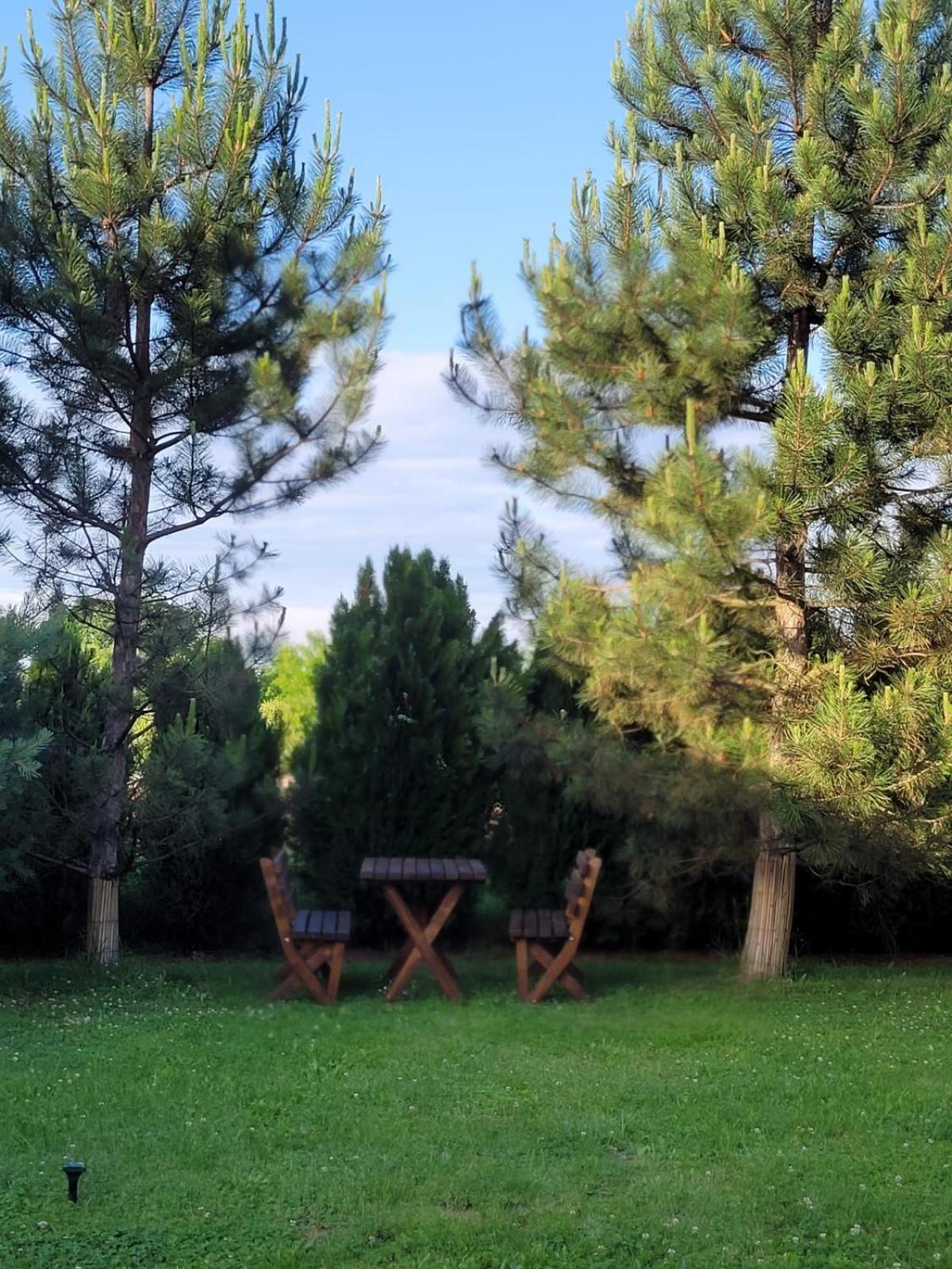 Hanul Lui Bogdan Economy Inn Făget Exterior foto